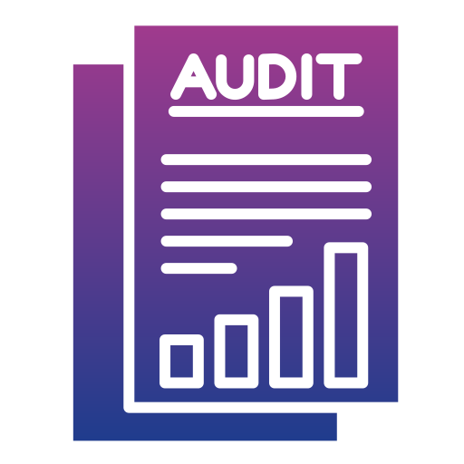 Audit